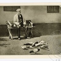 Antonín Dvořák s holuby na Vysoké u Příbramě