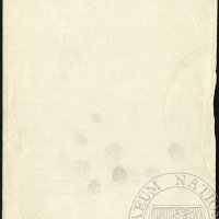 Letter