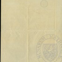 Letter