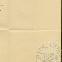Letter